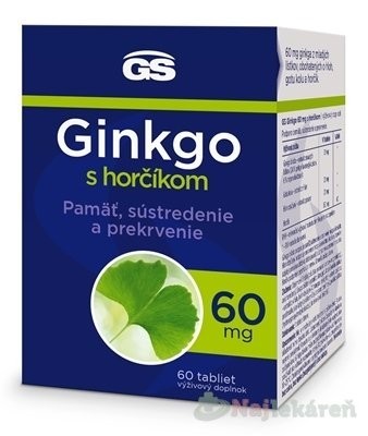 GS Ginkgo 60 mg s horčíkom