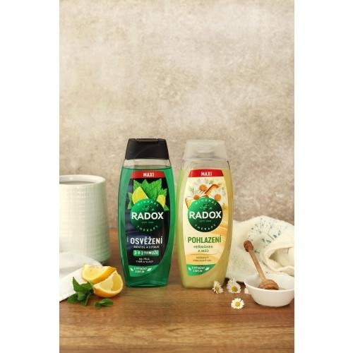 Radox Refreshment Menthol And Citrus 3-in-1 Shower Gel 450 ml sprchovací gél pre mužov