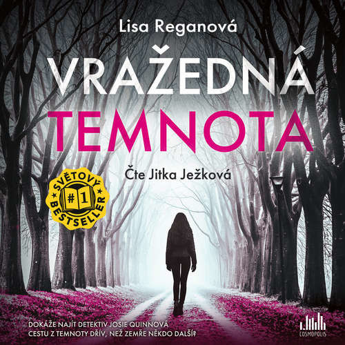 Vražedná temnota - Lisa Reganová (mp3 audiokniha)