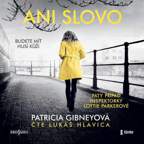Ani slovo - Patricia Gibneyová (mp3 audiokniha)