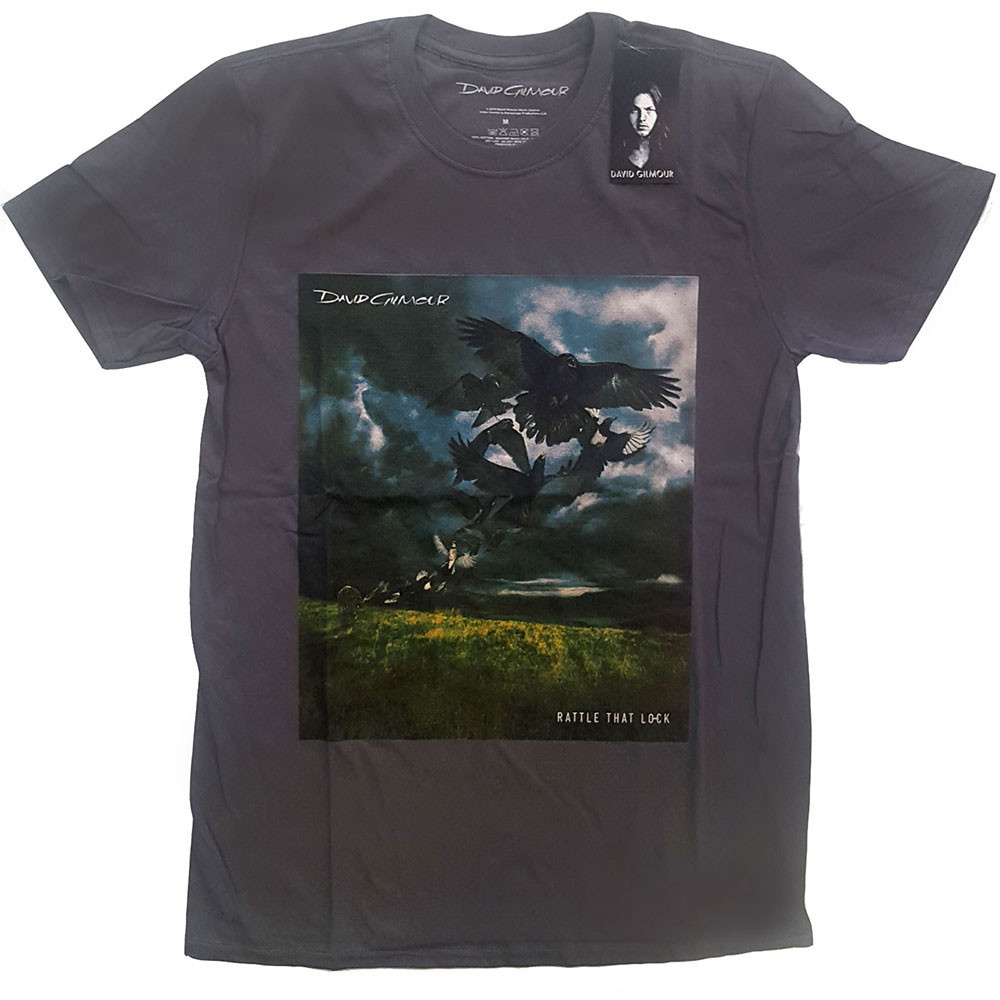 David Gilmour tričko Rattle That Lock Šedá S