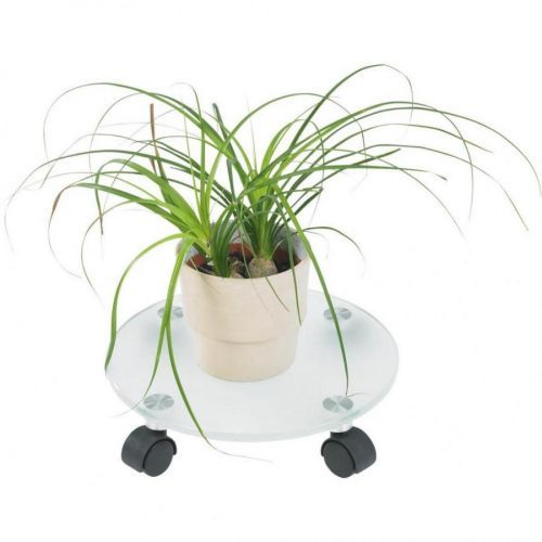 Boxxx PODLOŽKA NA KOLIESKACH, sklo, 30/7,5/30 cm