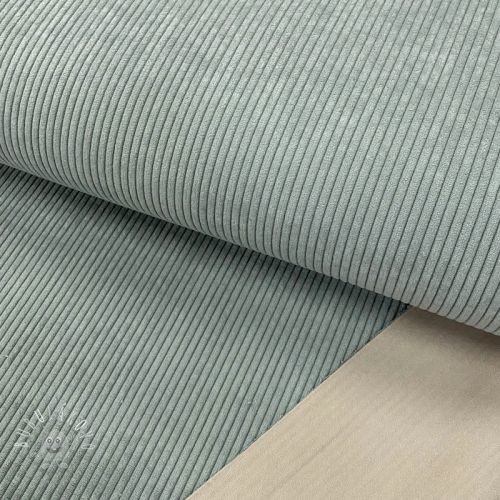 Menčester HUGGY lichen