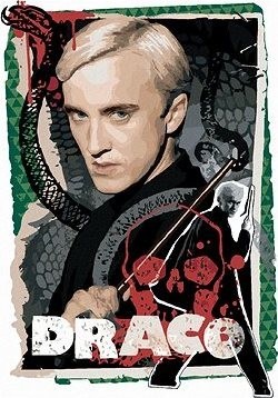 Karta draco malfoy (Harry Potter), 40×50 cm, vypnuté plátno na rám