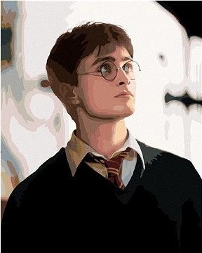 Portrét Harry Potter, 40×50 cm, vypnuté plátno na rám