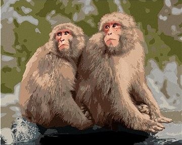 Dvě opice v zoo v Japonsku, 80×100 cm, vypnuté plátno na rám