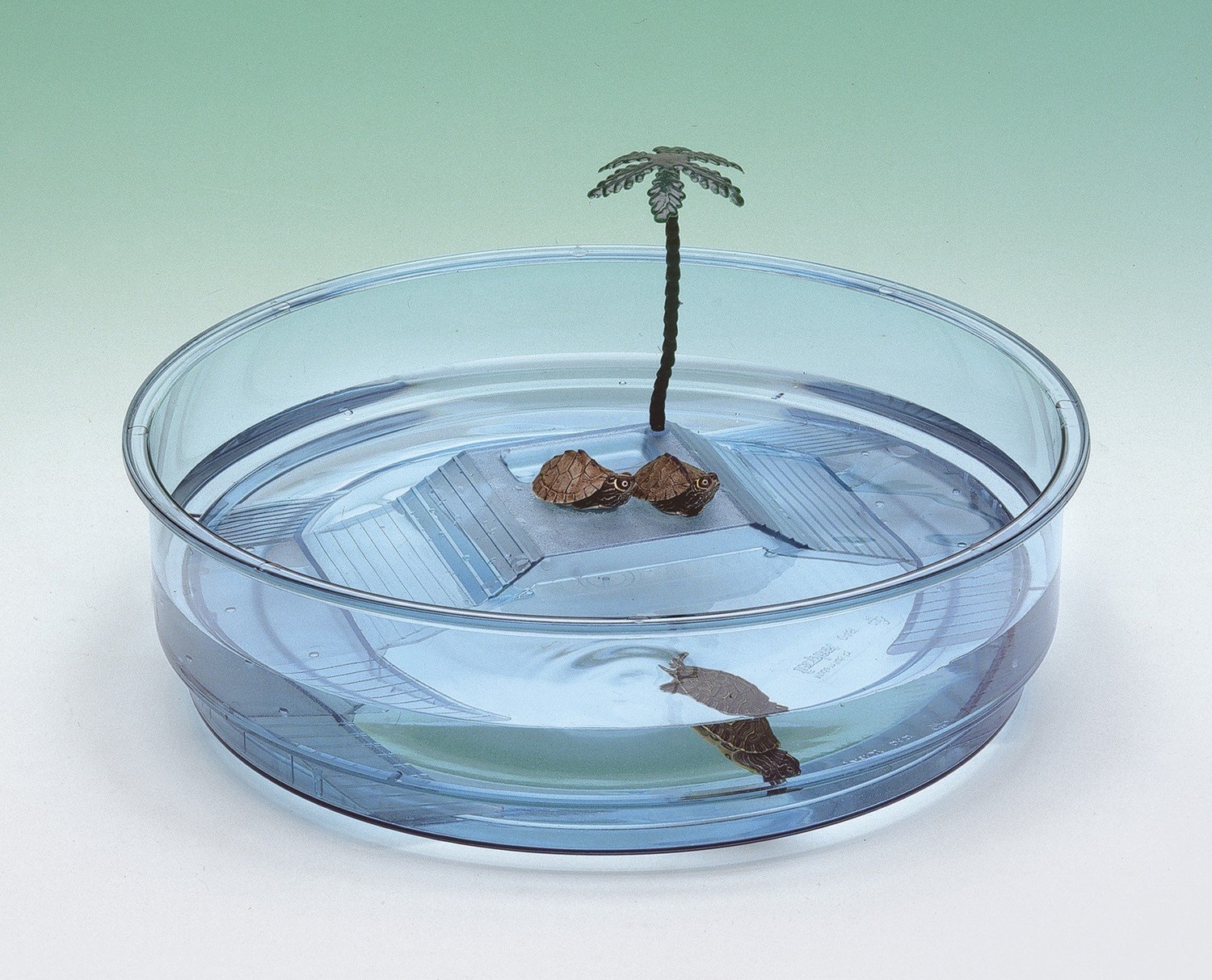 Ferplast TURTLE BOWL OASI TRANSP.BLUE