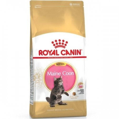 Royal Canin FBN MAINE COON KITTEN 2 kg