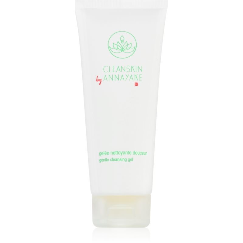 Annayake CleanSkin Gentle Cleansing Gel umývací gél na tvár pre dokonalé vyčistenie pleti 100 ml
