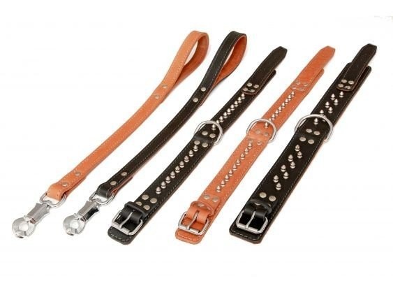 HP product for Happy Pets HP obojok MOLOSS ostne 1R 65cm konak