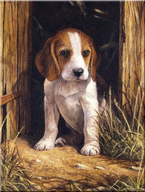 SMT Maľovanie Royal 22x30cm Bígl