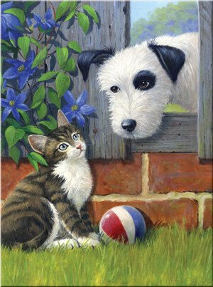 SMT Maľovanie Royal 22x30cm Hra s loptou