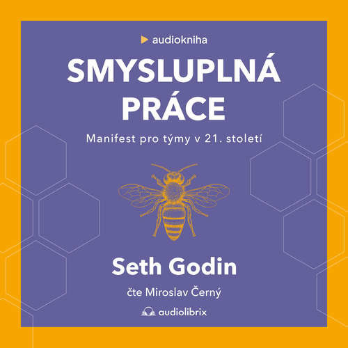 Smysluplná práce - Seth Godin (mp3 audiokniha)