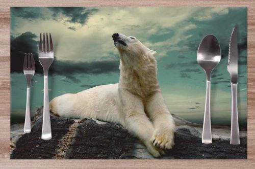 Prestieranie Ľadový medveď