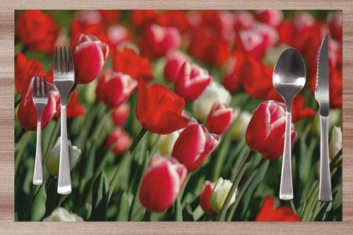 Prestieranie Tulipány