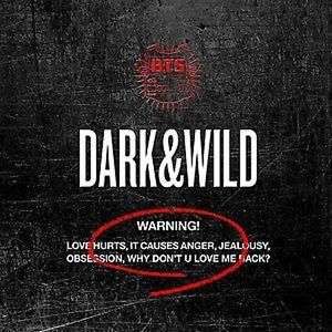 BTS - CD VOL.1 (DARK & WILD)