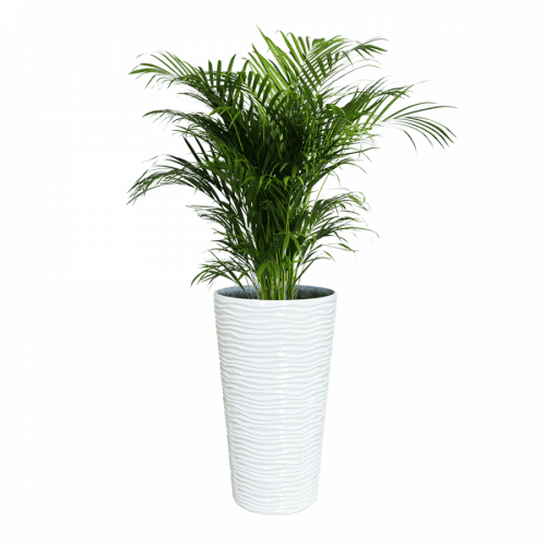 Květináč, plast, bílá, KRULO