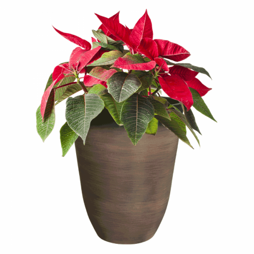 Květináč, plast / kameninový prášek, hnědý melír, PIEDOR