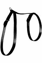 Postroj mačka nylon 10mm čierny Zolux