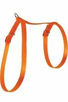 Postroj mačka nylon 10mm oranžový Zolux
