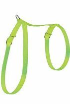 Postroj mačka nylon 10mm zelený Zolux