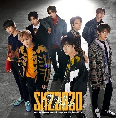 CD STRAY KIDS - SKZ2020