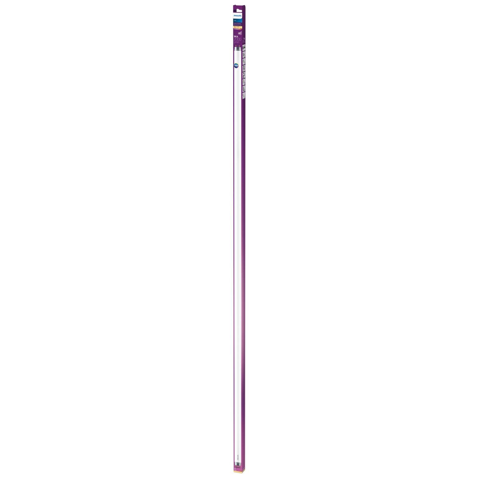 Philips G13 T8 LED trubica 19,5W 151,3 cm 2 700 K