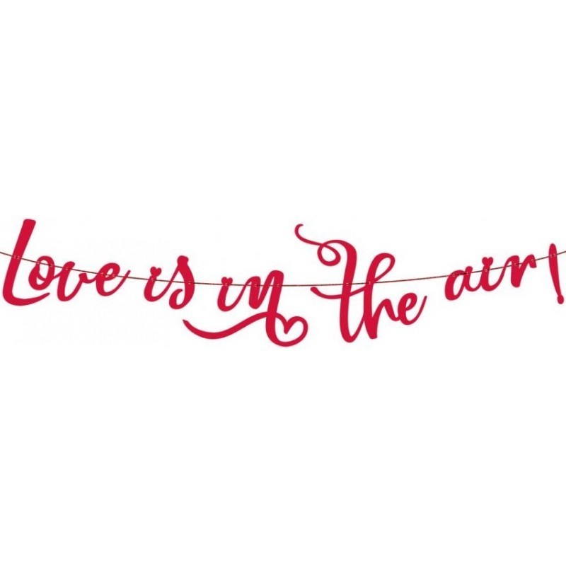 RV-GPLO Godan Papierová girlanda - Love is in the air, 200cm (nápis)