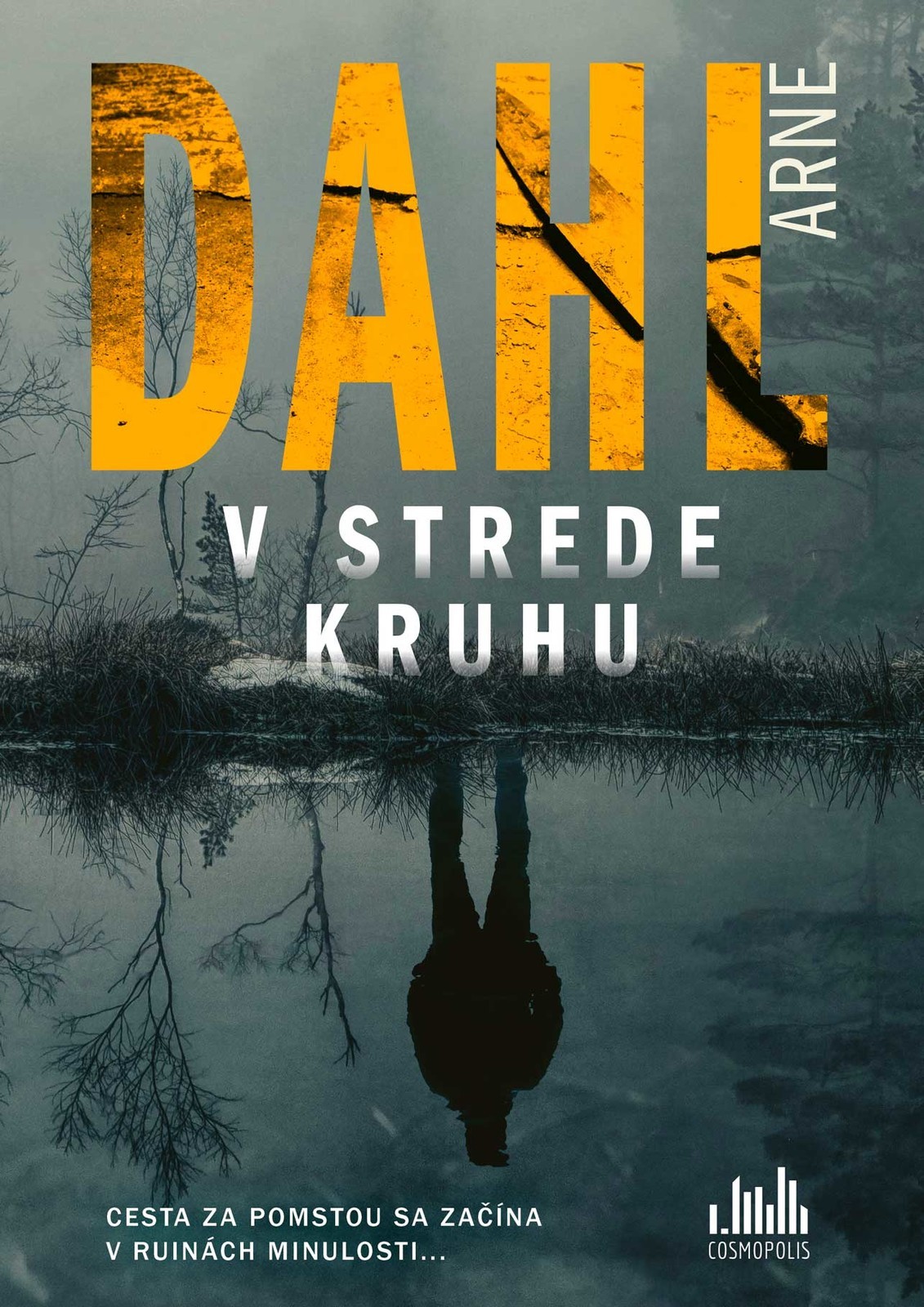 V strede kruhu - Arne Dahl,Anna Chelemendiková