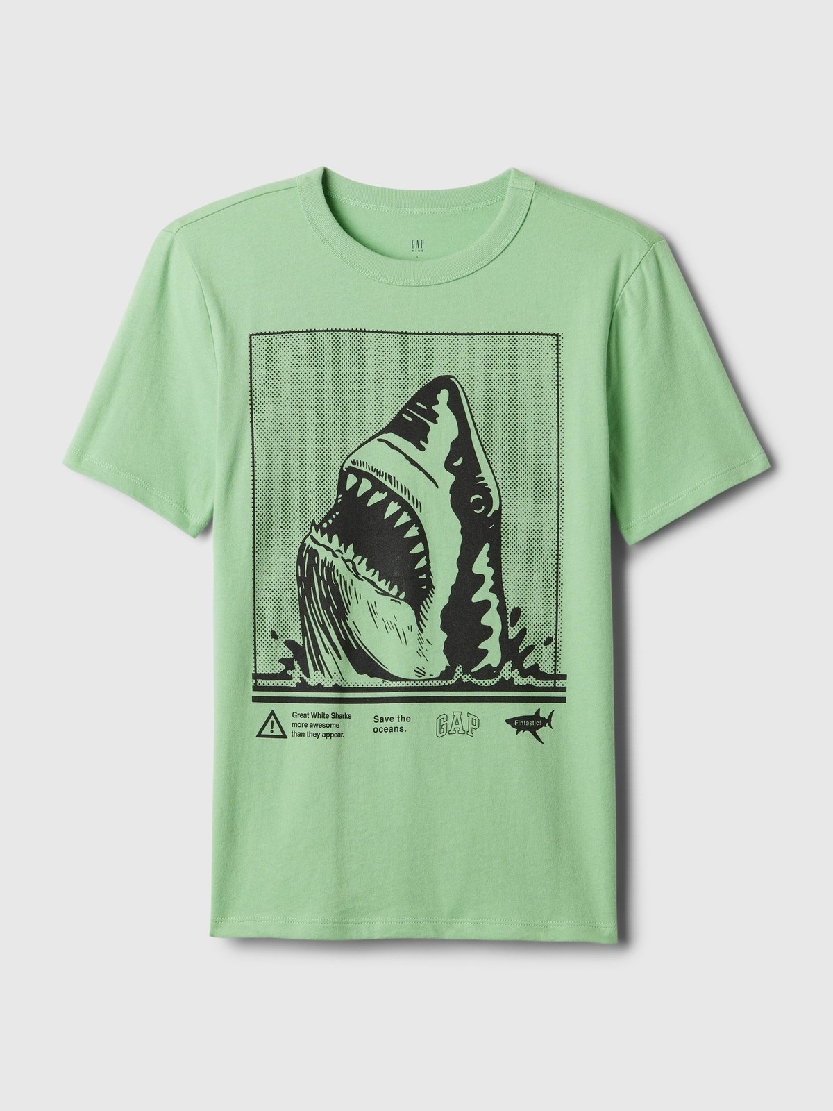 GAP Kids' T-shirt with print - Boys