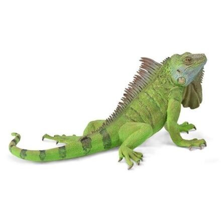 COLLECTA Leguán