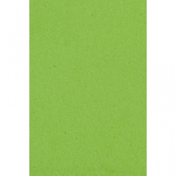 Amscan Obrus zelený 137 x 274 cm