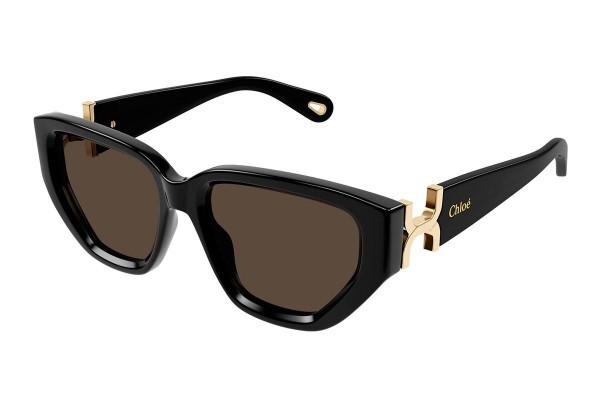 Chloe CH0235S 001 - ONE SIZE (55)