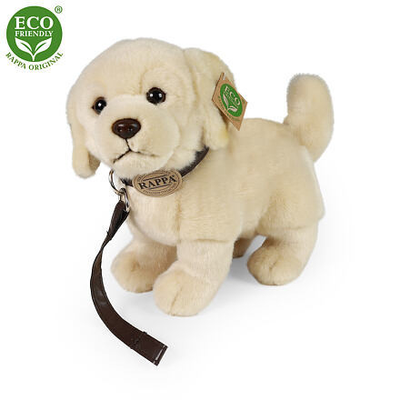 Rappa Plyšový pes zlatý retriever stojaci s vodítkom 25 cm ECO-FRIENDLY