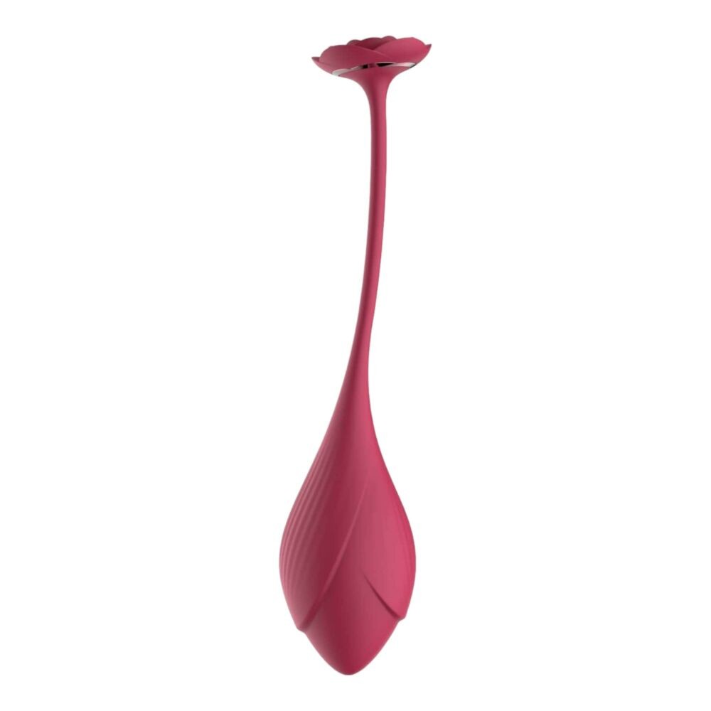 Raytech Rose - Rechargeable, Radio-Controlled Vibrating Egg (Red)