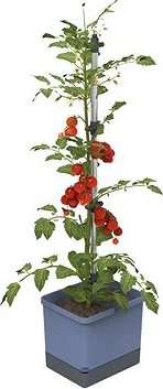 Gusta Garden TOM TOMATO Štandard samozavlažovací kvetináč, modrý
