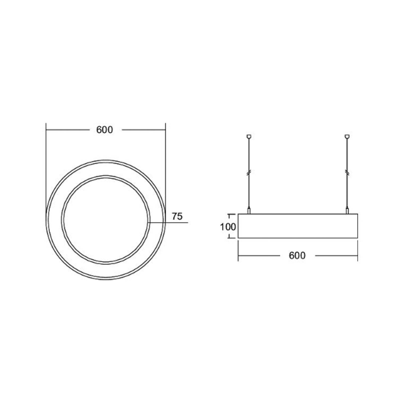 BRUMBERG Biro Circle Ring10 hore/dole Ø 60 cm DALI biela 830