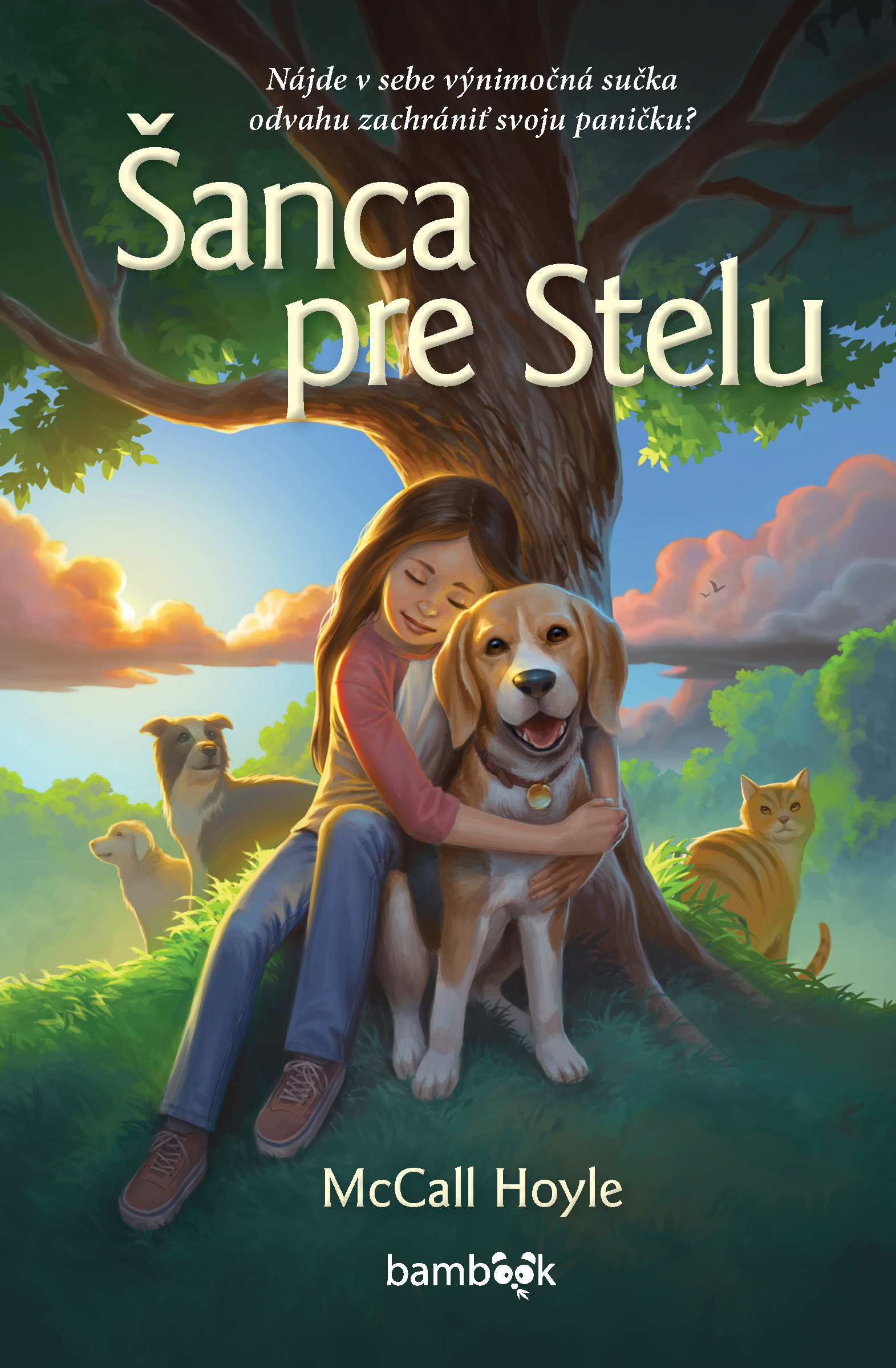 Šanca pre Stelu, Hoyleová McCall