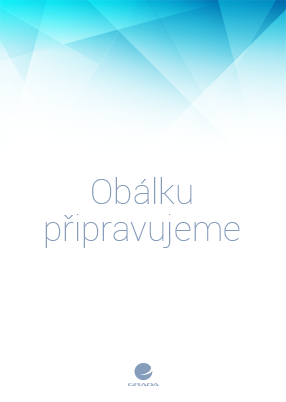 Excel 2021, Laurenčík Marek