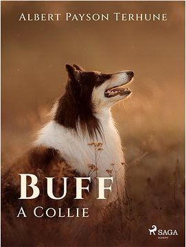 Buff: A Collie