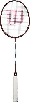 Wilson Striker