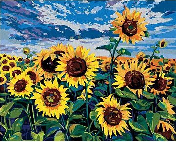 Slnečnice pod modrou oblohou, 40 × 50 cm, vypnuté plátno na rám