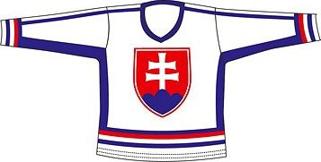 SPORTTEAM® hokejový, SR 6