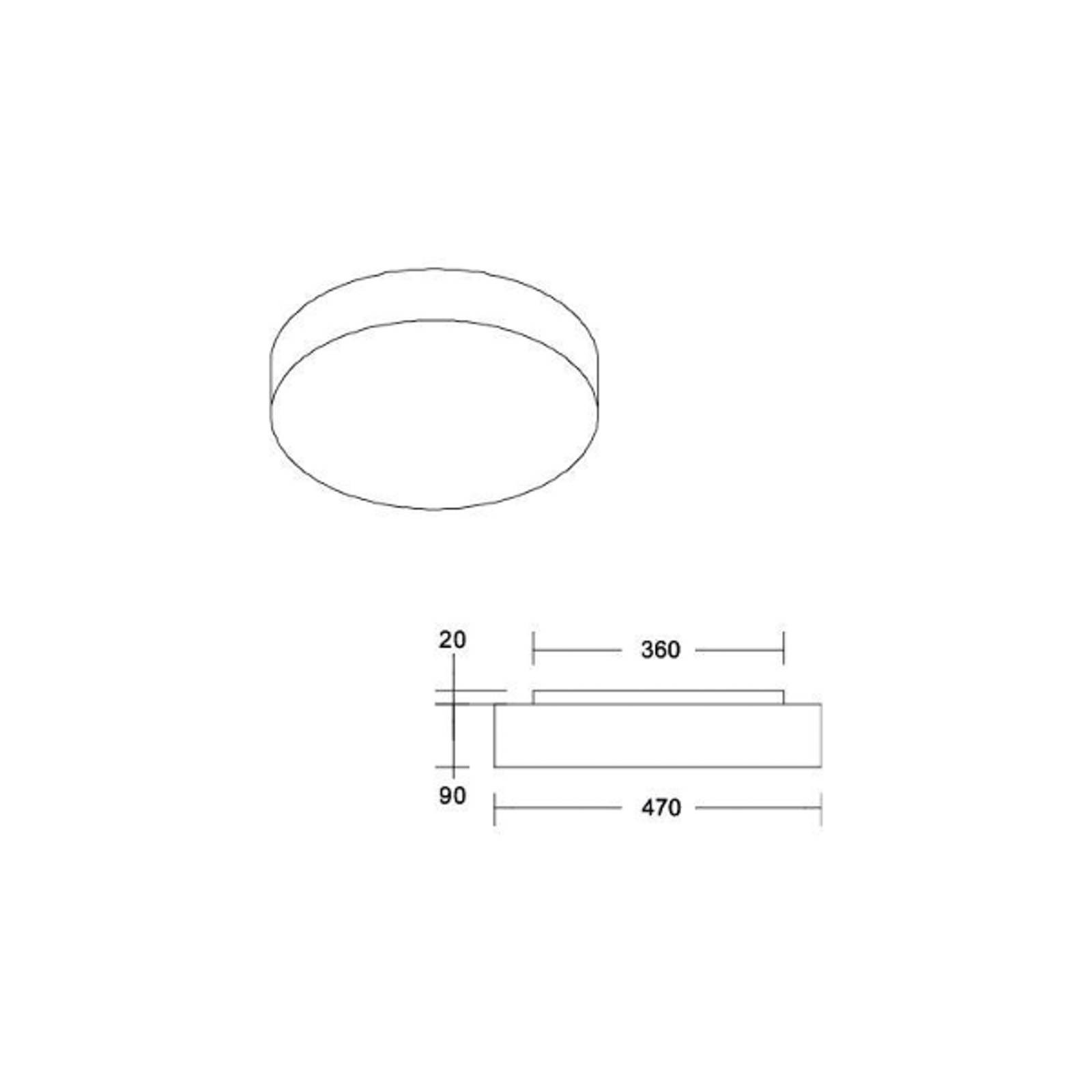 Stropné svietidlo BRUMBERG LED Celtis Maxi, 3 000 K, fialová