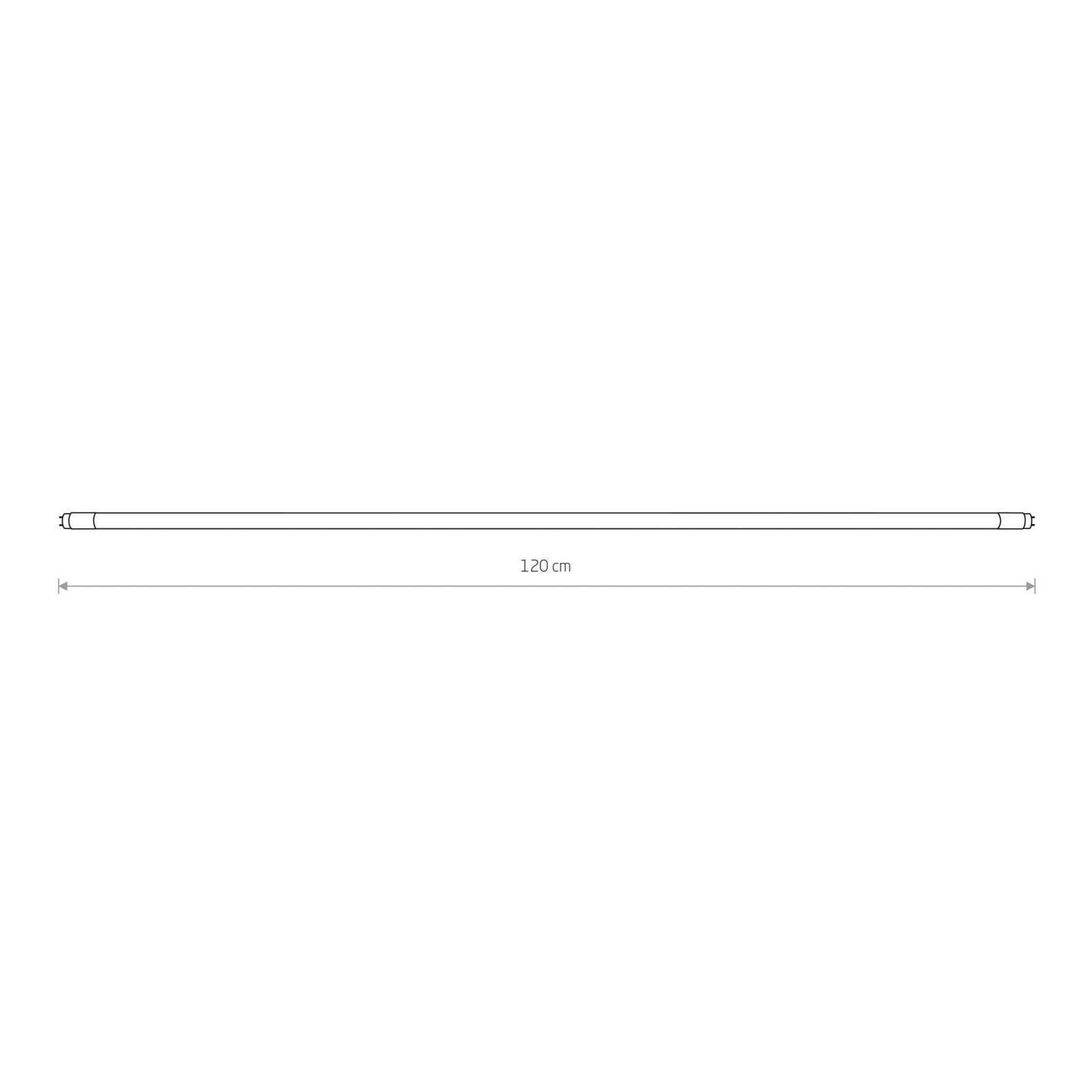 LED svetelný zdroj Dĺžka 120 cm Trubica G13 T8 22 W číra 3 000 K