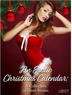 An Erotic Christmas Calendar: A Collection of Short Stories