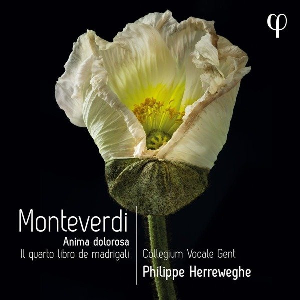 COLLEGIUM VOCALE GENT / P - MONTEVERDI: IL QUARTO LIBRO DE MADRIGALI, CD