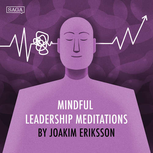 Navigating in Complexity - Introduction (EN) - Joakim Eriksson (mp3 audiokniha)