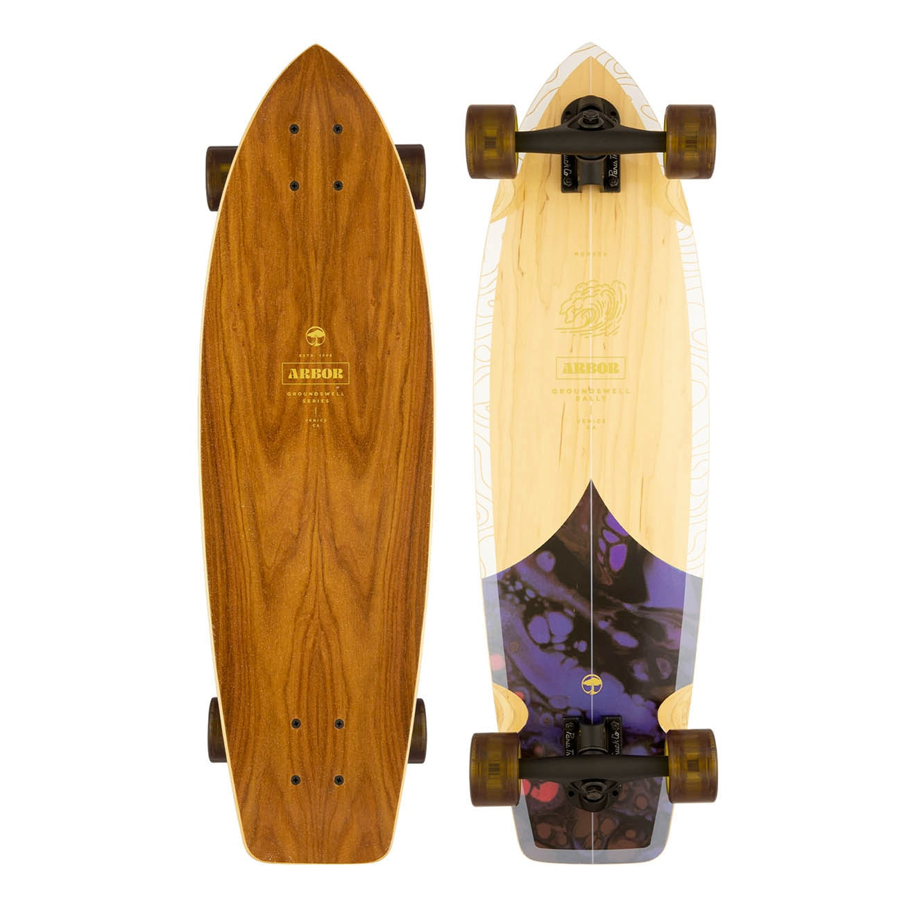 Arbor Groundswell Rally