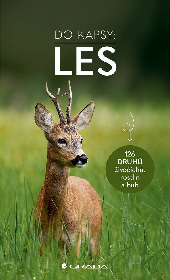 Les - Do kapsy, Wilhelmsenová Ute